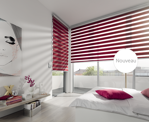 Store Enrouleur Jour-Nuit avec Coffre Motorisé - Stores de France